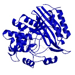 Image of CATH 1iki