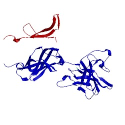 Image of CATH 1ikn