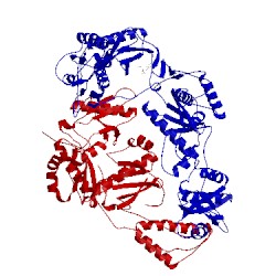 Image of CATH 1ikw