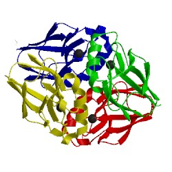 Image of CATH 1ils