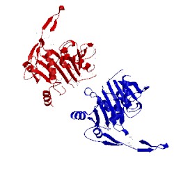 Image of CATH 1ilv