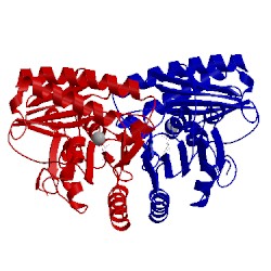 Image of CATH 1imb