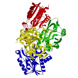 Image of CATH 1iof