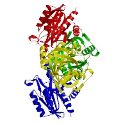 Image of CATH 1ioi