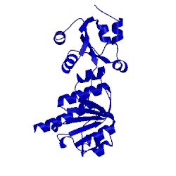 Image of CATH 1ipa