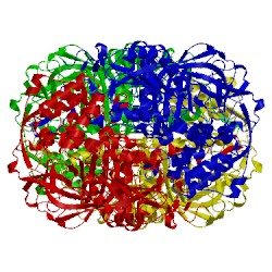 Image of CATH 1iph