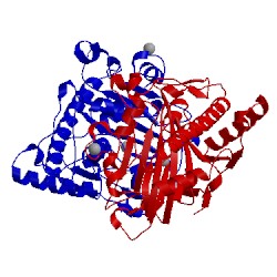 Image of CATH 1ips