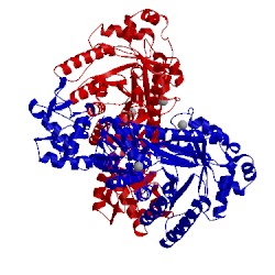 Image of CATH 1iq8