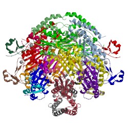 Image of CATH 1is8