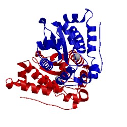 Image of CATH 1isb