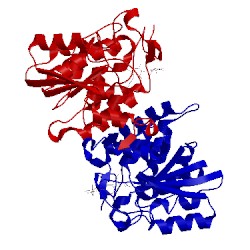 Image of CATH 1isf