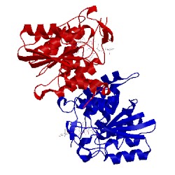 Image of CATH 1isg