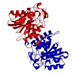 Image of CATH 1isi