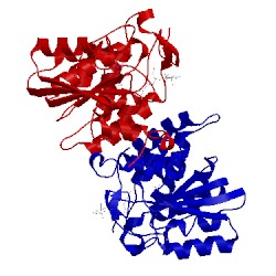 Image of CATH 1isj