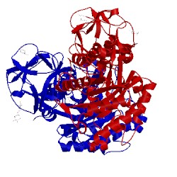 Image of CATH 1isw