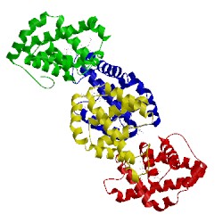 Image of CATH 1it3