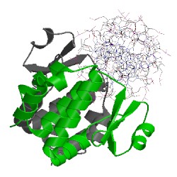 Image of CATH 1iu3