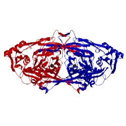 Image of CATH 1iu7