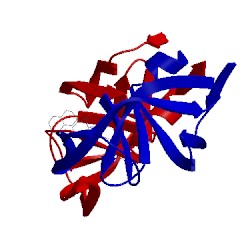 Image of CATH 1ivq