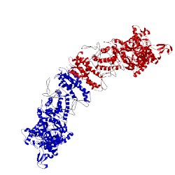 Image of CATH 1ivs