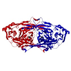 Image of CATH 1ivu