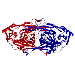 Image of CATH 1ivw