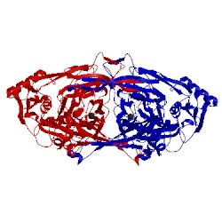 Image of CATH 1ivw