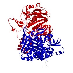 Image of CATH 1ivy