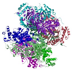 Image of CATH 1iwa