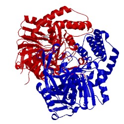 Image of CATH 1iwe