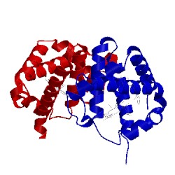 Image of CATH 1iwh