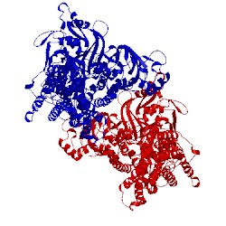 Image of CATH 1iwo