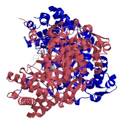 Image of CATH 1iwp