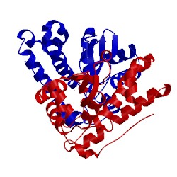 Image of CATH 1ixb