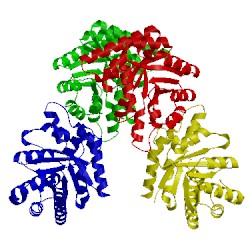 Image of CATH 1ixq