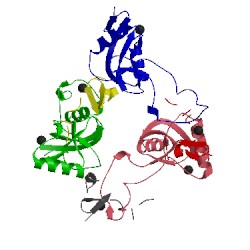 Image of CATH 1ixx