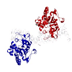Image of CATH 1ixy