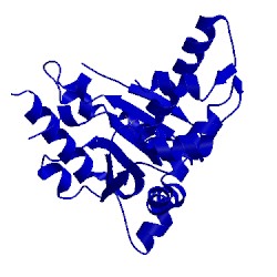 Image of CATH 1iy2