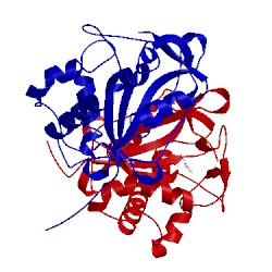 Image of CATH 1iyb