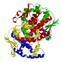 Image of CATH 1iyi