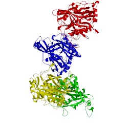 Image of CATH 1iyl