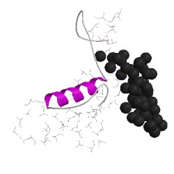 Image of CATH 1izlL02