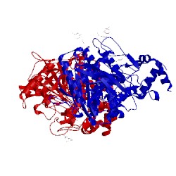 Image of CATH 1j06