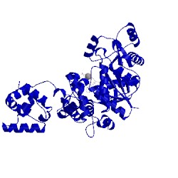 Image of CATH 1j09