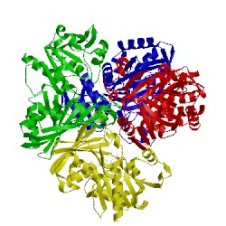 Image of CATH 1j0x