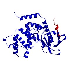 Image of CATH 1j19