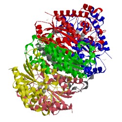 Image of CATH 1j2t