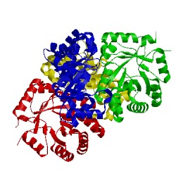 Image of CATH 1j2w