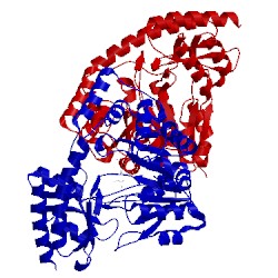 Image of CATH 1j32