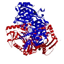 Image of CATH 1j3b